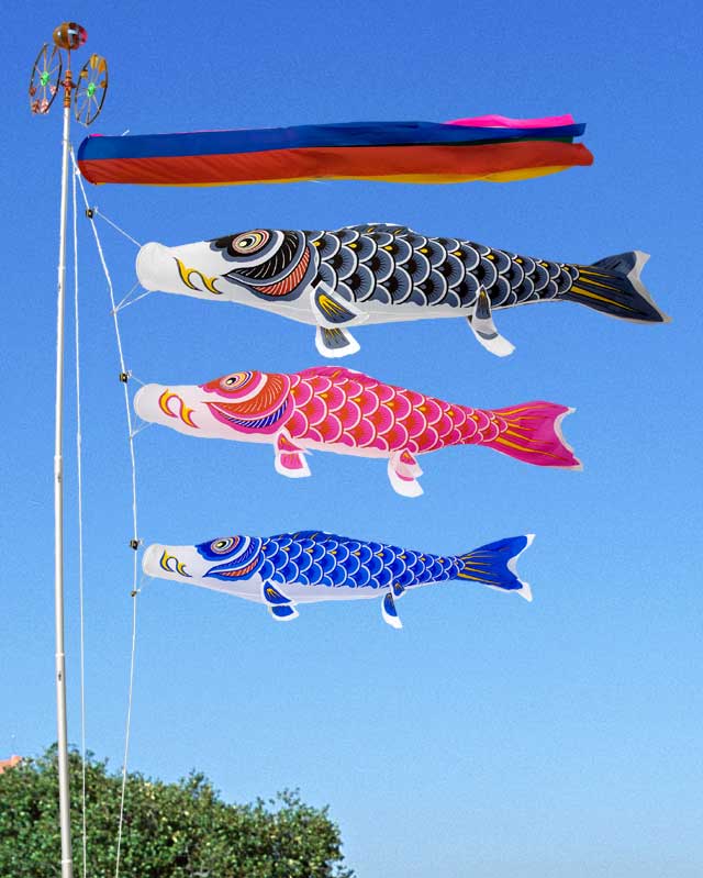 楽天市場】ナイロン鯉 鯉のぼり 10mセット ＜五色吹き流しセット