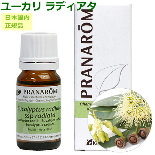 楽天市場】プラナロム ティートゥリー 10ml プラナロム アロマオイル