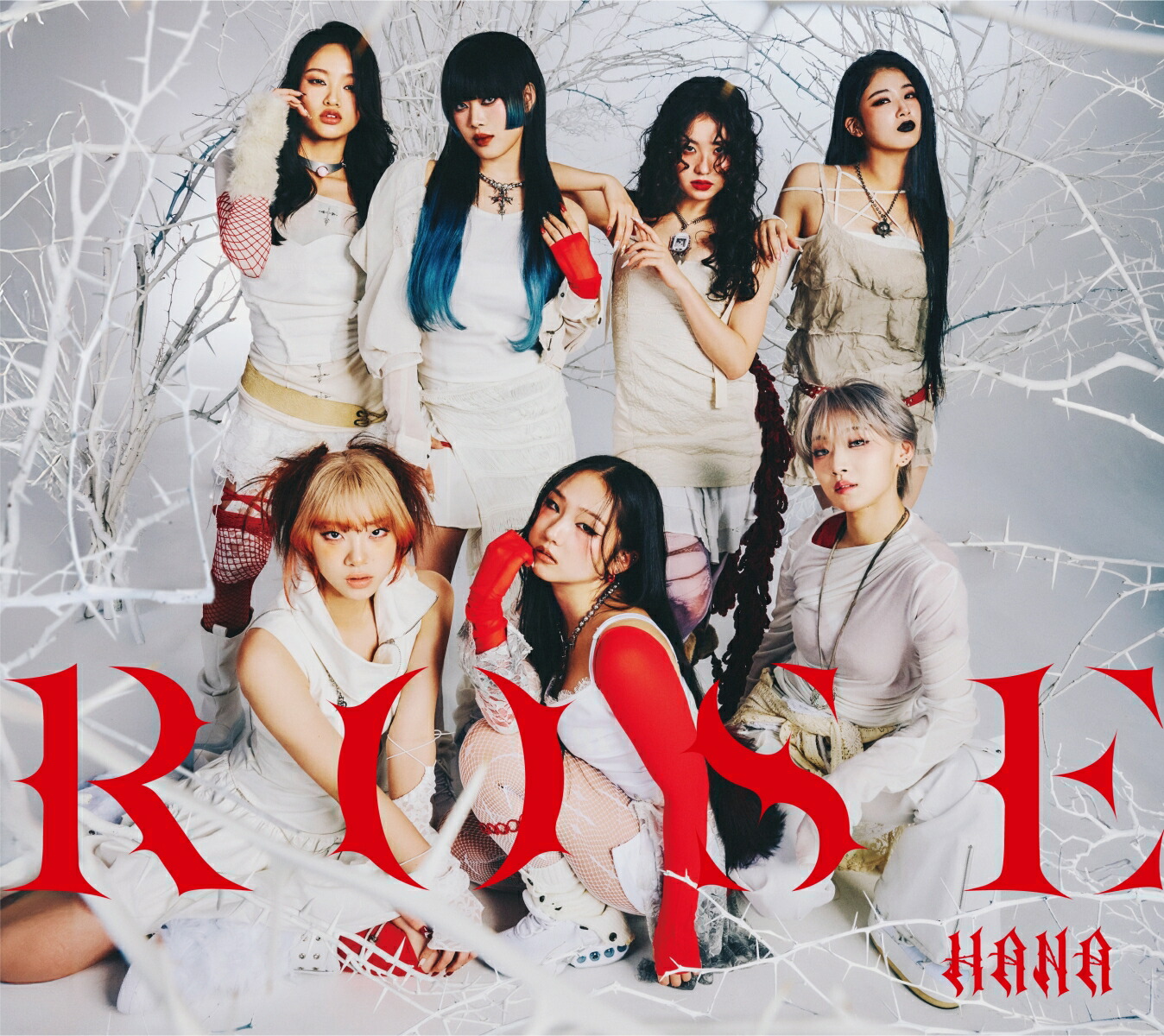 楽天ブックス: ROSE (初回生産限定盤B CD＋Blu-ray＋付属品) - HANA