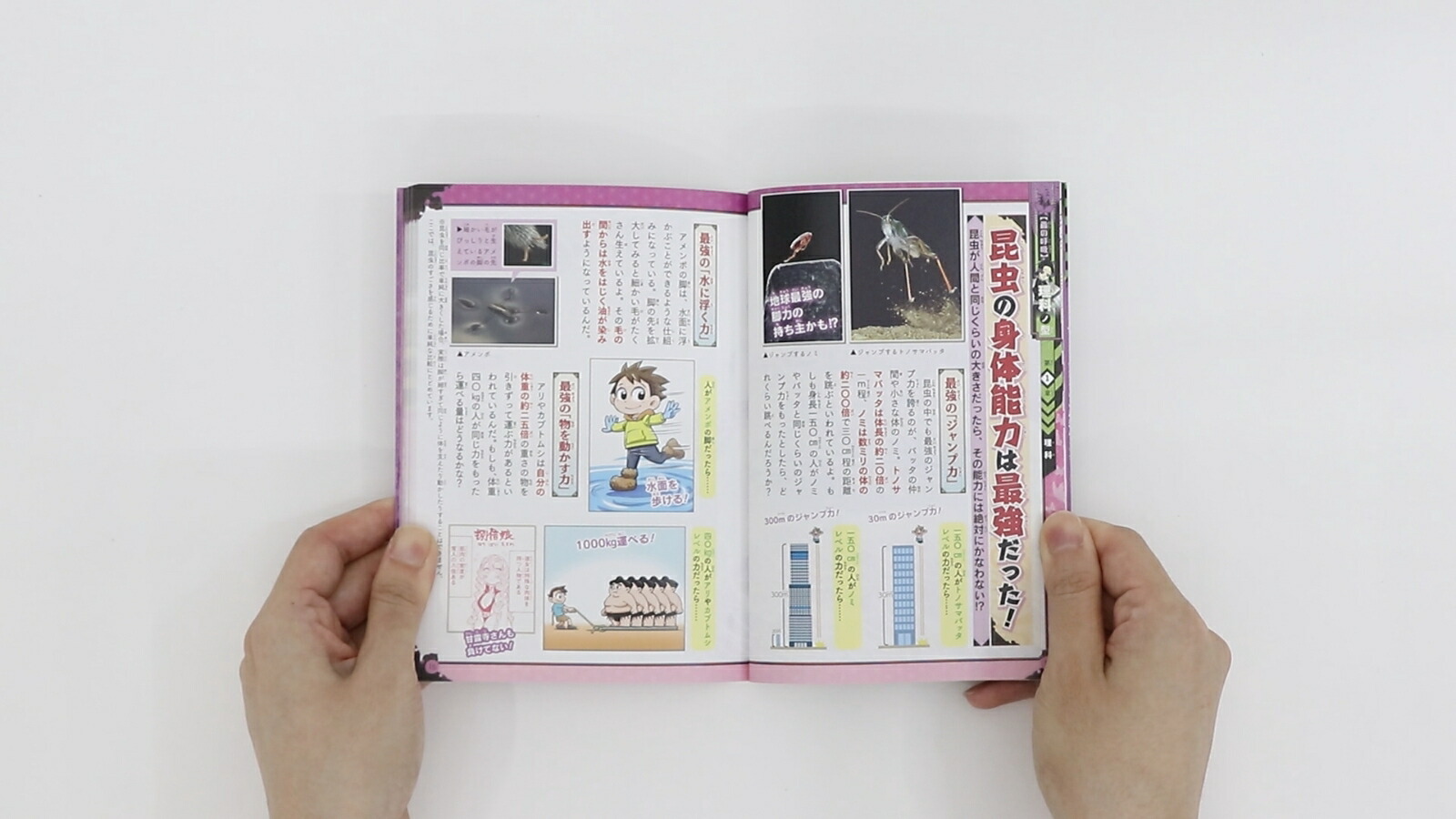 鬼滅の刃 キメツ学園!全集中ドリル 全巻セット [ 吾峠 呼世晴 ]