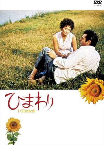 楽天市場】連続テレビ小説 ひまわり 完全版 DVD-BOX 第二集 松嶋菜々子