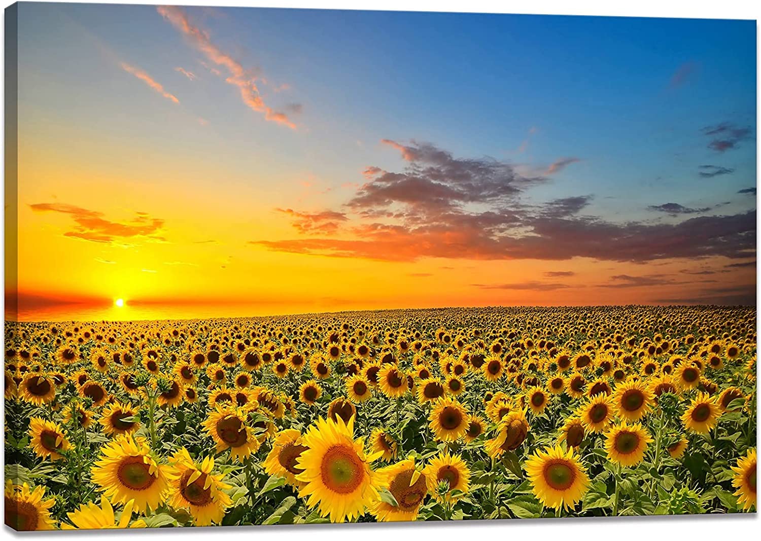 楽天市場】ひまわり 向日葵 の絵 絵画 70cmサイズ サンフラワー