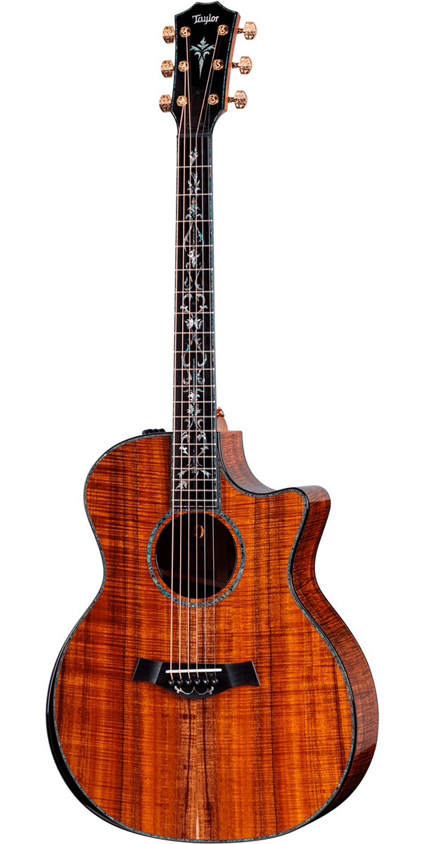 楽天市場】Taylor（テイラー）814ce DLX V-Class : STARROW ONLINE STORE