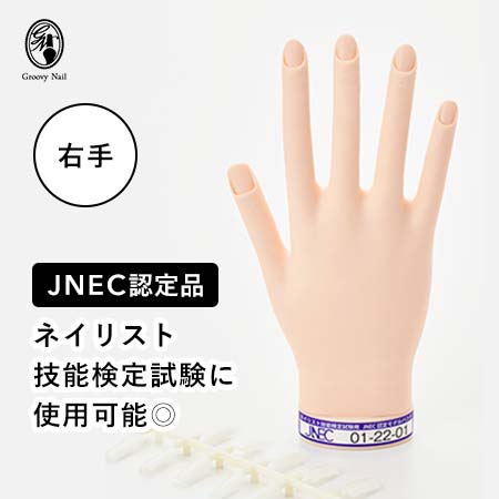 認定ハンド【新品未使用】 STモデルハンド セット（JNEC 第1期認定