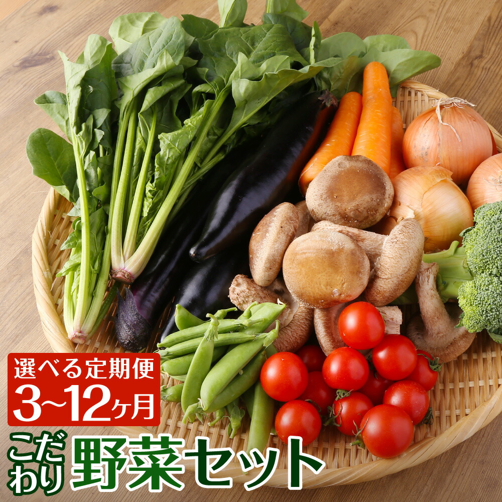 楽天市場】【ふるさと納税】野菜のプロ40年が届けるこだわり野菜セット