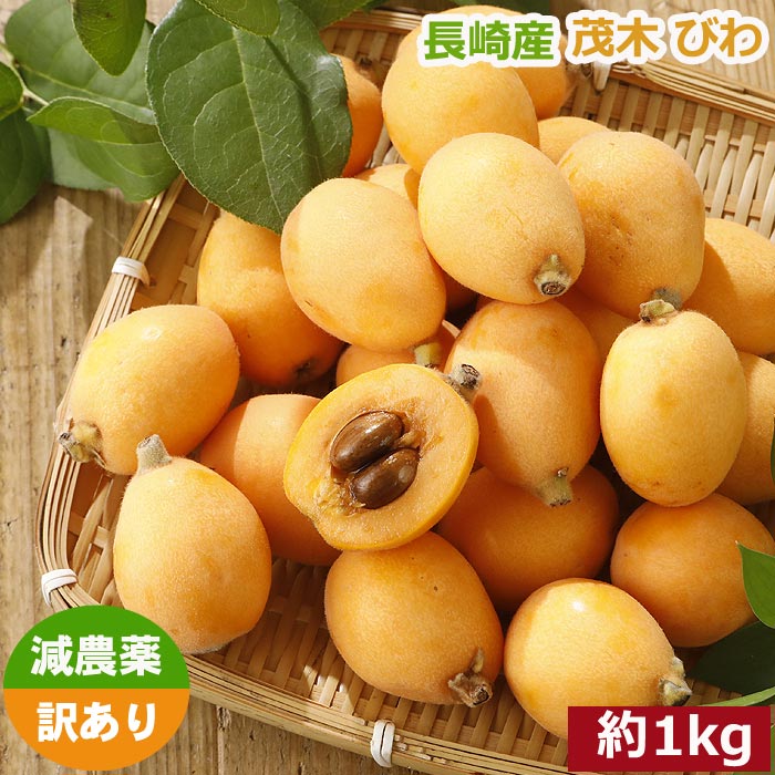 楽天市場】2026年5月分予約 減農薬 長崎産 茂木 びわ 約1kg 訳あり L