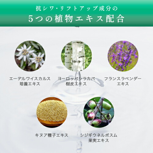 KATAN CICA ダーマヒットセラム10 30g シカ ニードルショット ニードル