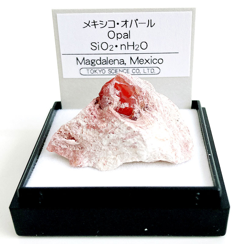 楽天市場】金鉱石 （鹿児島県伊佐市） 鉱物 標本 東京サイエンス ミニ