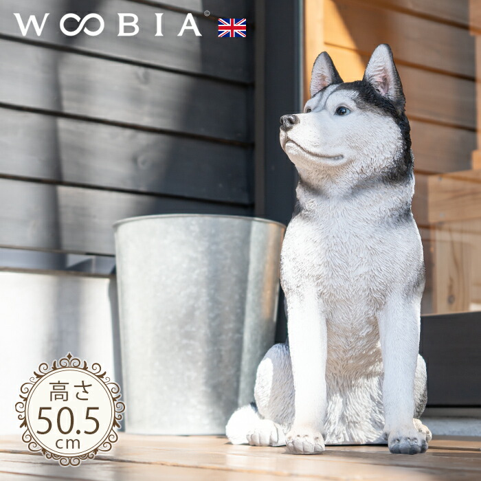 楽天市場】ちょこんと座るわんこ《 シベリアンハスキー (50.5cm