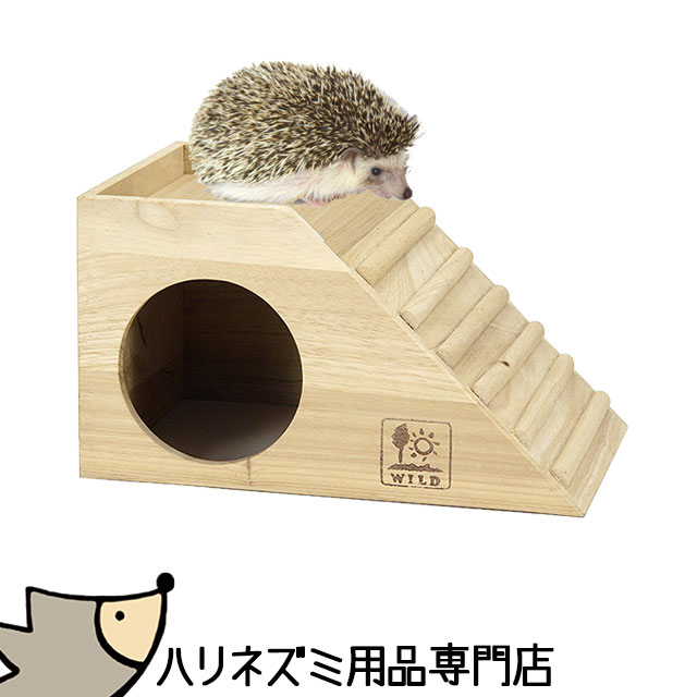 楽天市場】マルカン CASA マルチプレイス ハリネズミ専用ケージ