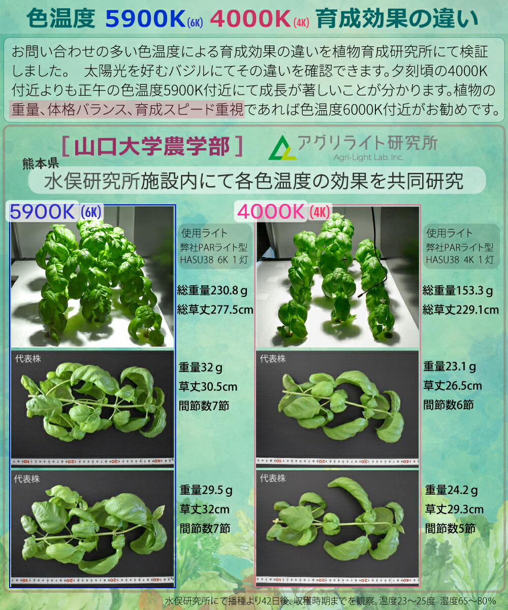 HaruDesign 植物育成ライト HASU38 spec9 6K 白色系 スワールボディ