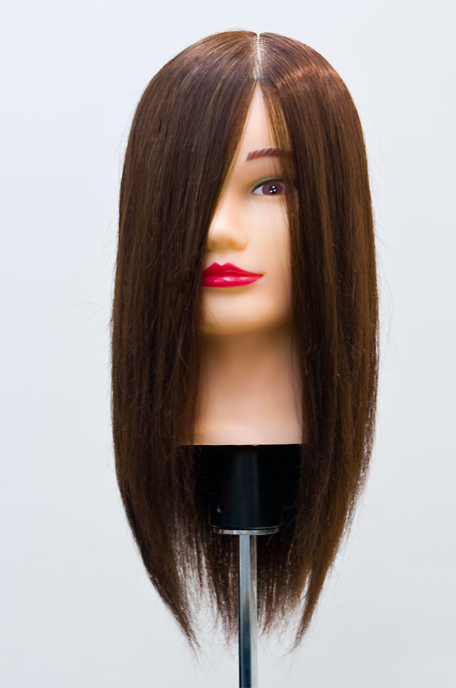 楽天市場】Diana カットウィッグ カット練習タイプ (リアル人工毛/人毛