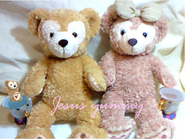 楽天市場】【SALE】ダッフィー＆シェリーメイ コレクションドール