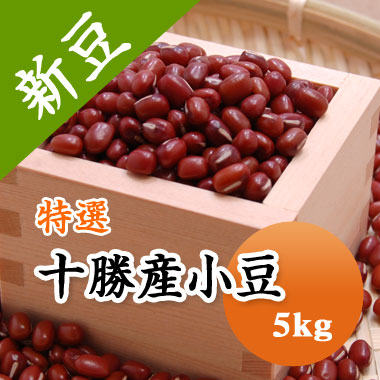 楽天市場】小豆 訳あり 規格外 等外小豆 格安 食品ロス 北海道 十勝産