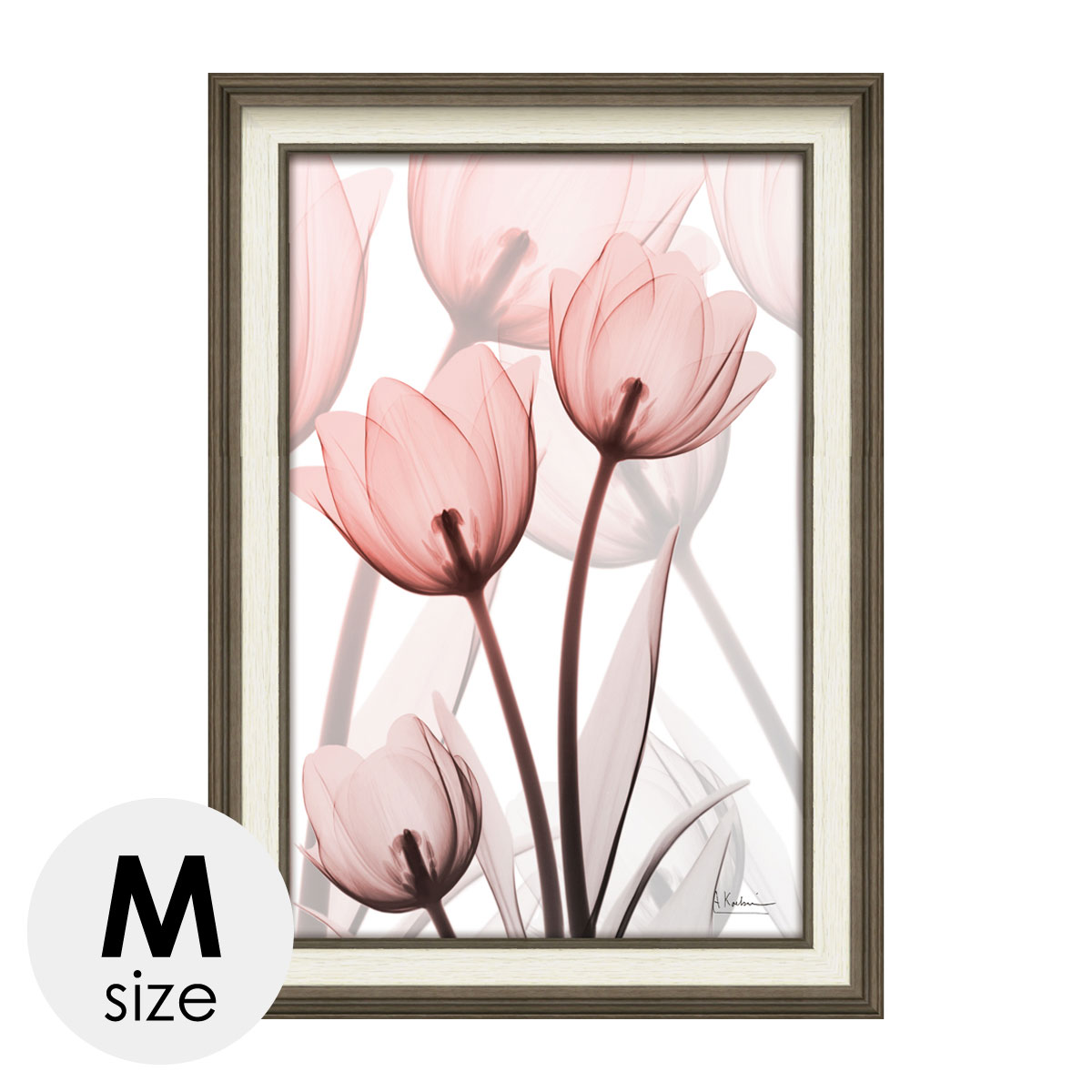 楽天市場】x-ray アートフレーム キャンバスアート 花 アートパネル