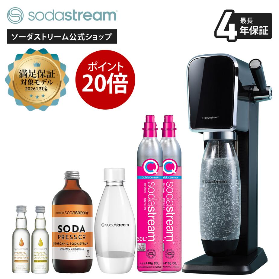 楽天市場】【Early Spring セール P20倍】| ソーダストリーム TERRA
