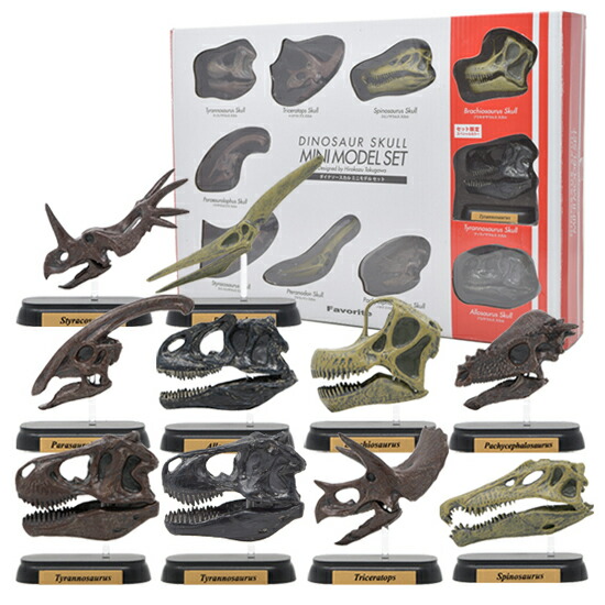 楽天市場】マスターマインドジャパン・MASTERMIND JAPAN SKULL KID