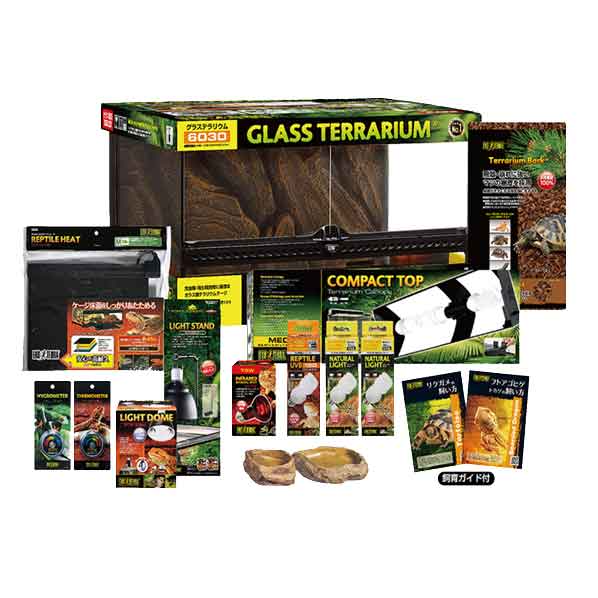 楽天市場】【初心者向け】フトアゴヒゲトカゲ＆リクガメ飼育セットA