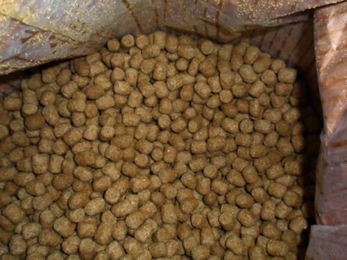 楽天市場】トータスダイエット 業務用 11.34kg 5M21 Mazuri(マズリ