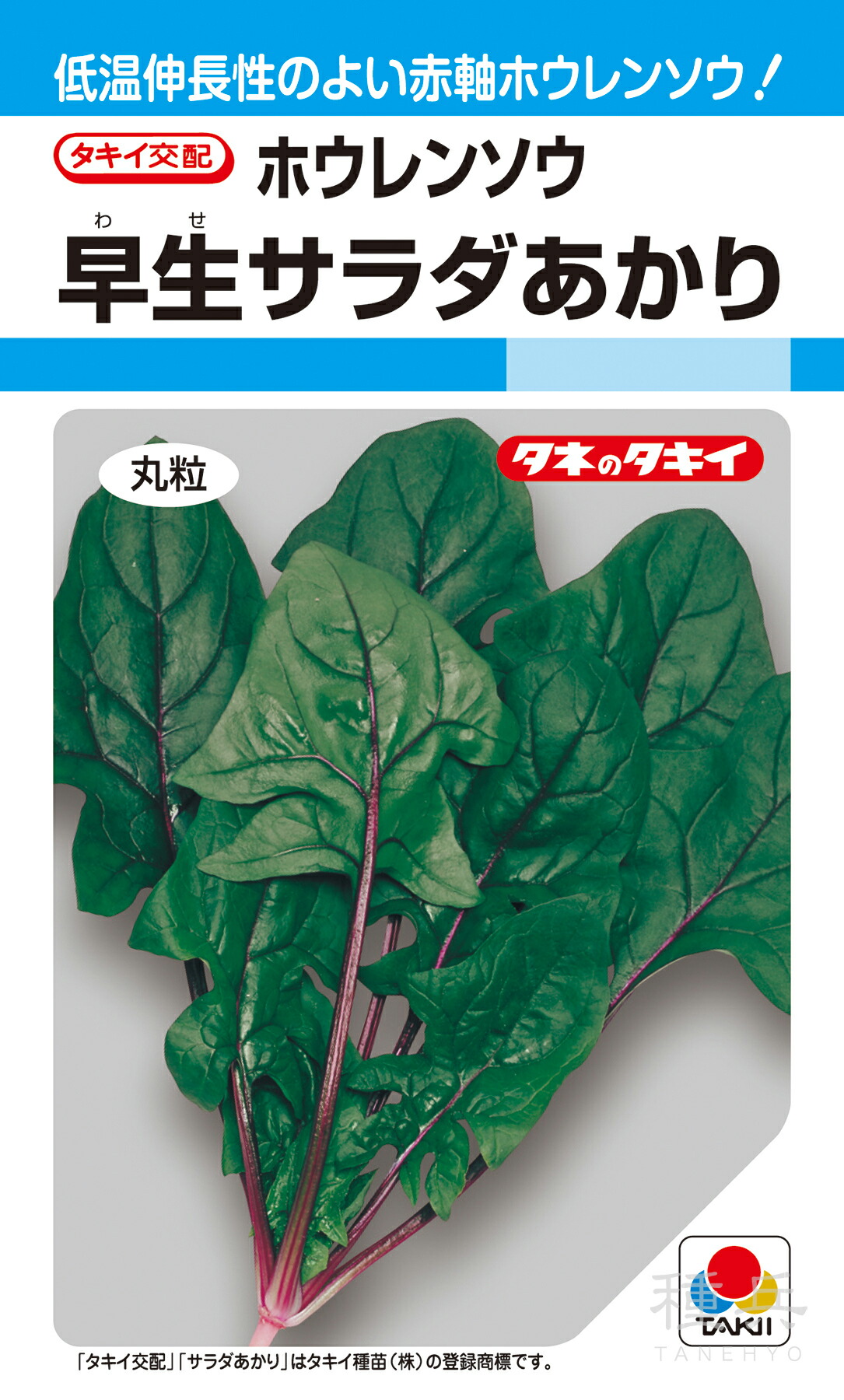 楽天市場】【 早生サラダあかり 】 ホウレンソウ ほうれんそう 法蓮草