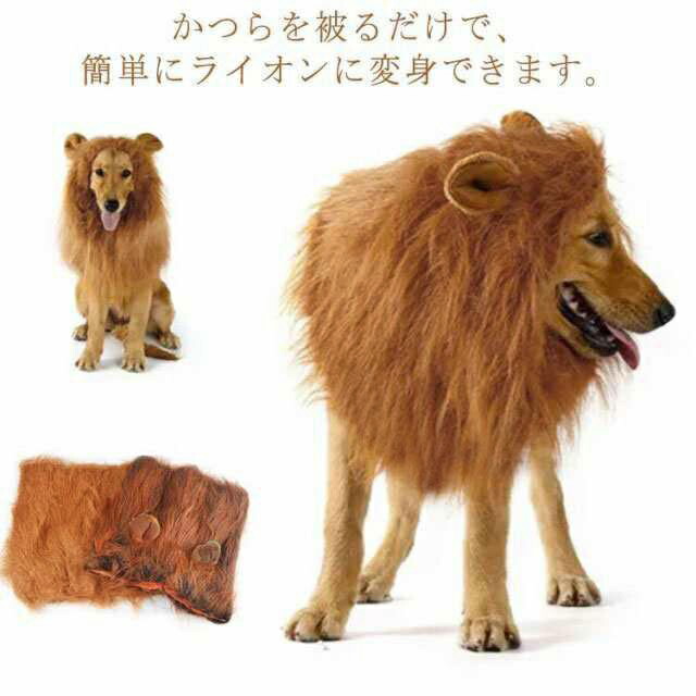 楽天市場】犬 ライオン ウィッグ キャップ カツラ 帽子 大型犬