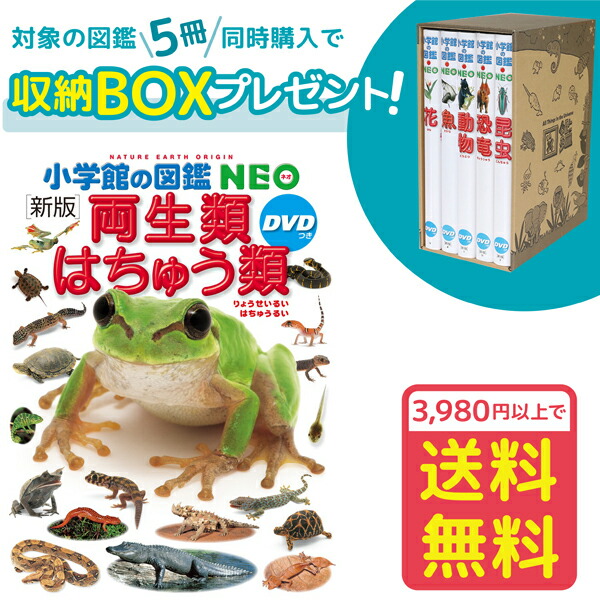 楽天市場】【収納BOX付・送料無料・条件有】小学館の図鑑NEO 深海生物