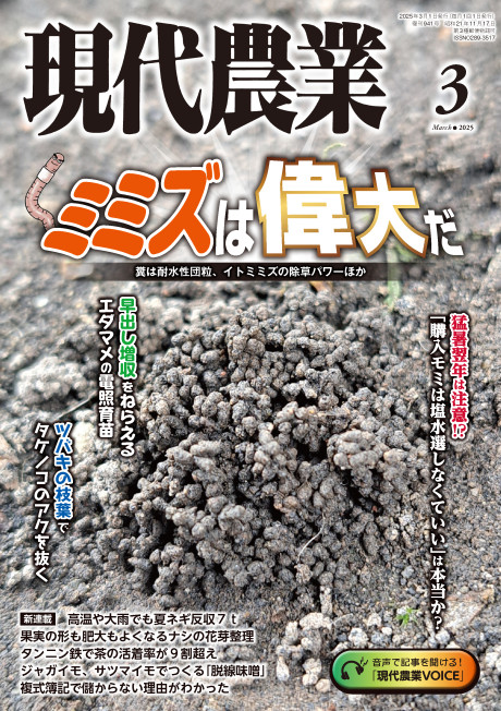 現代農業 2025年3月号』農文協編 - 田舎の本屋さん