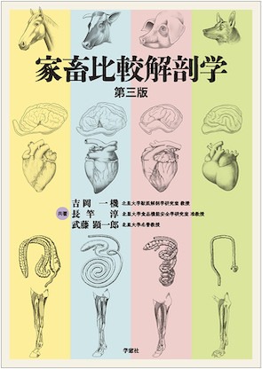 家畜比較解剖学 《第三版》(・取り寄せ)』吉岡一機著他 - 田舎の本屋さん