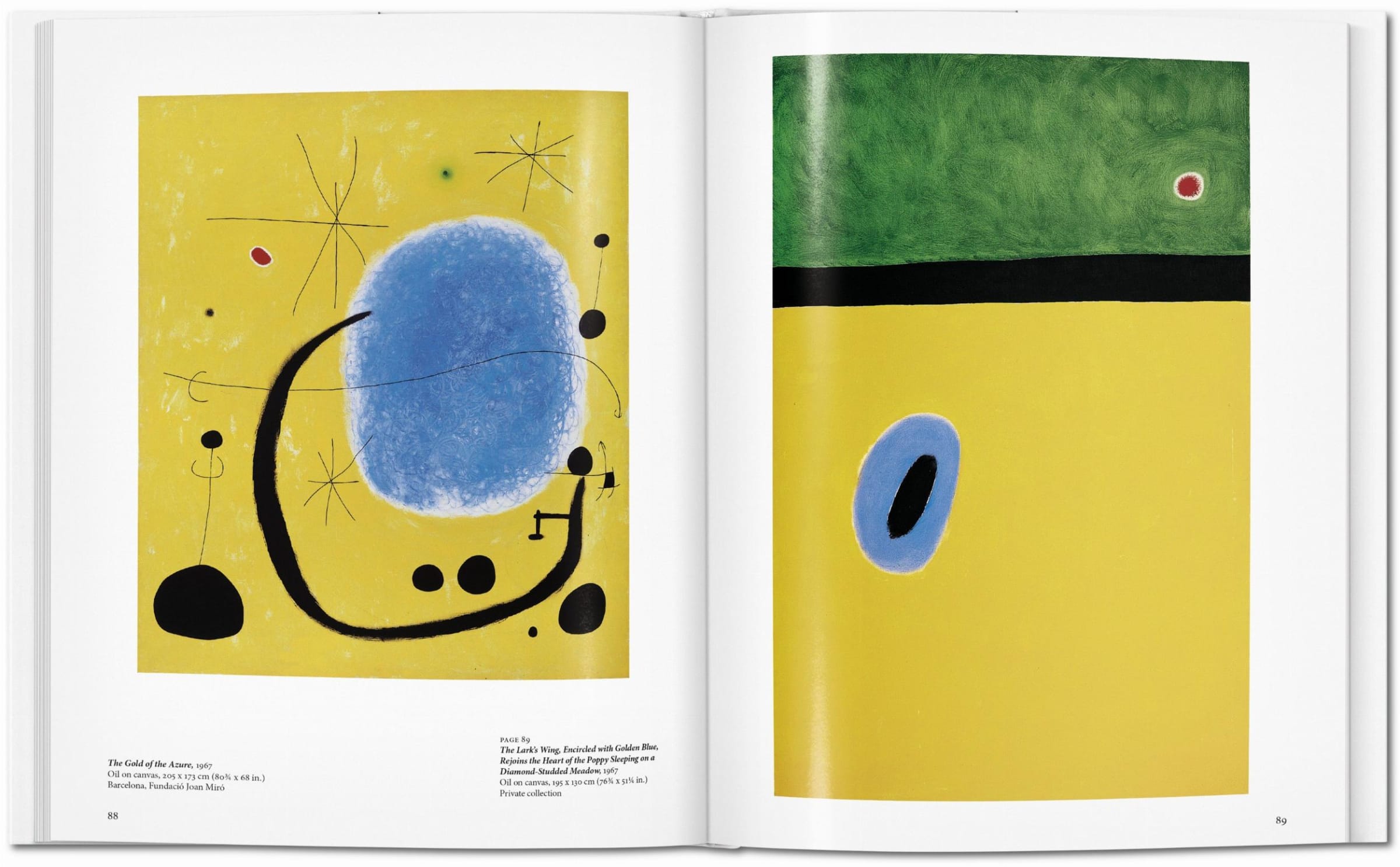 Joan Miró (Basic Art) – St. Louis Art Supply