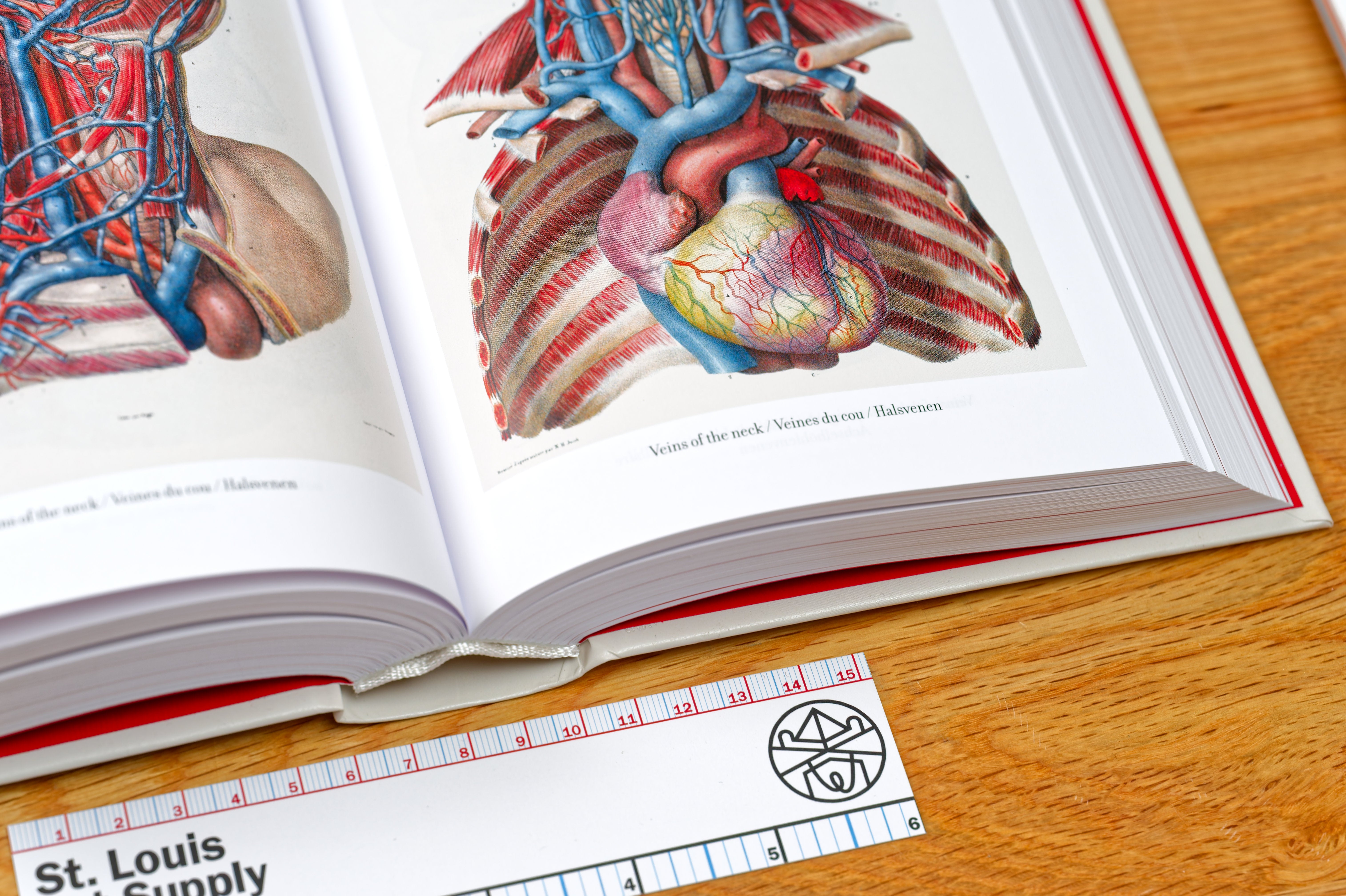 Atlas of Human Anatomy and Surgery (Bibliotheca Universalis) – St