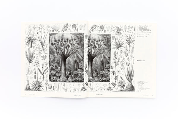 紫紅社】精密イラスト 植物画・動物画コレクション〈花・草・木〉〈鳥