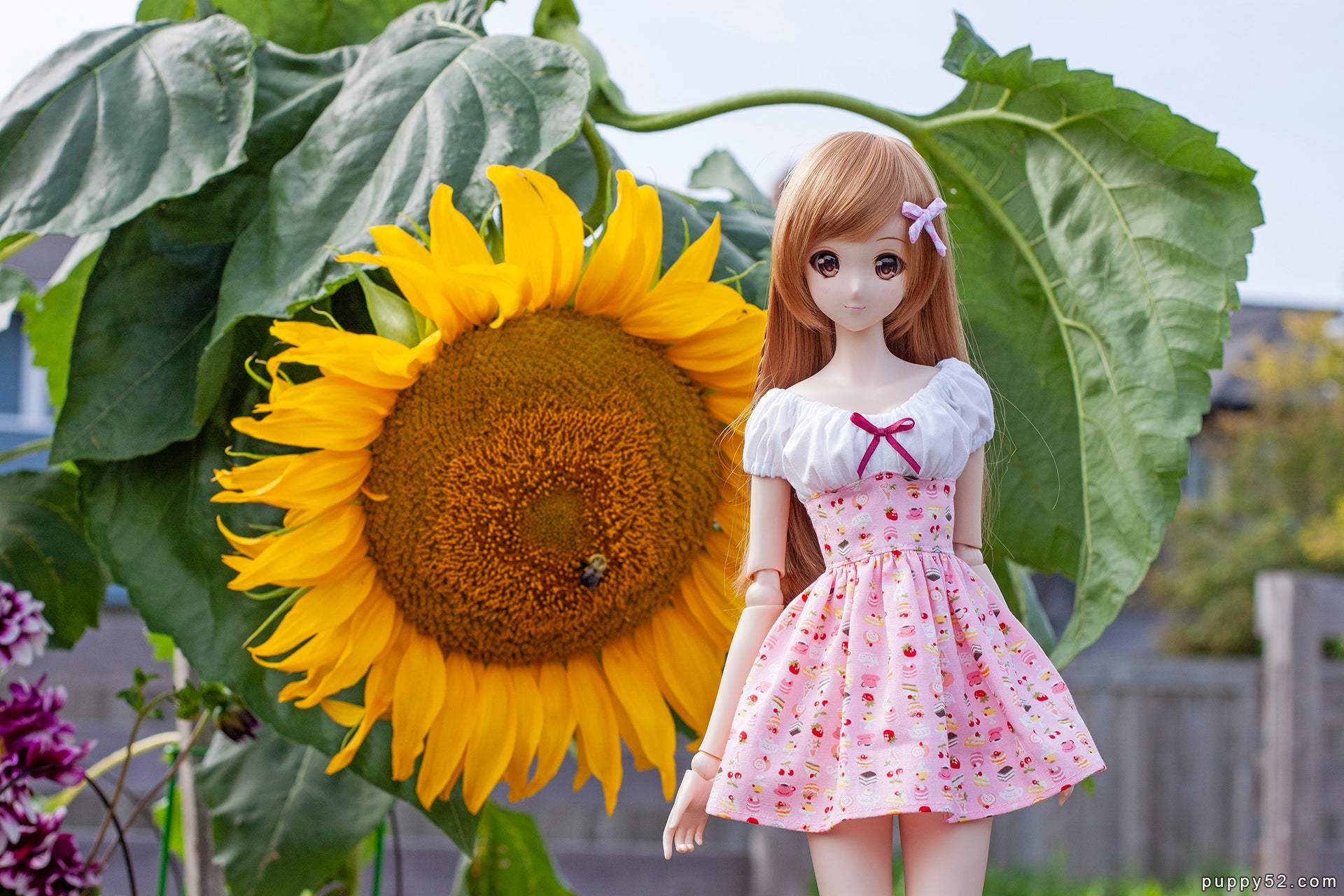 Chun of puppy52 – Smart Doll Store