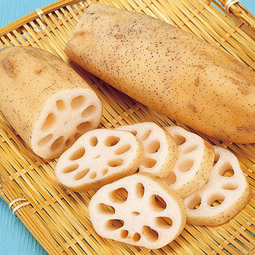 レンコン| 種・苗・ガーデニング用品の【タキイネット通販】