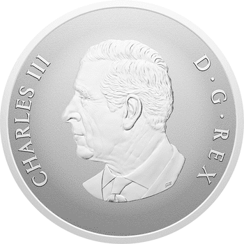 供給元問合せ】カナダ 2025年 メイプルリーフ・フォーエバー 300ドル