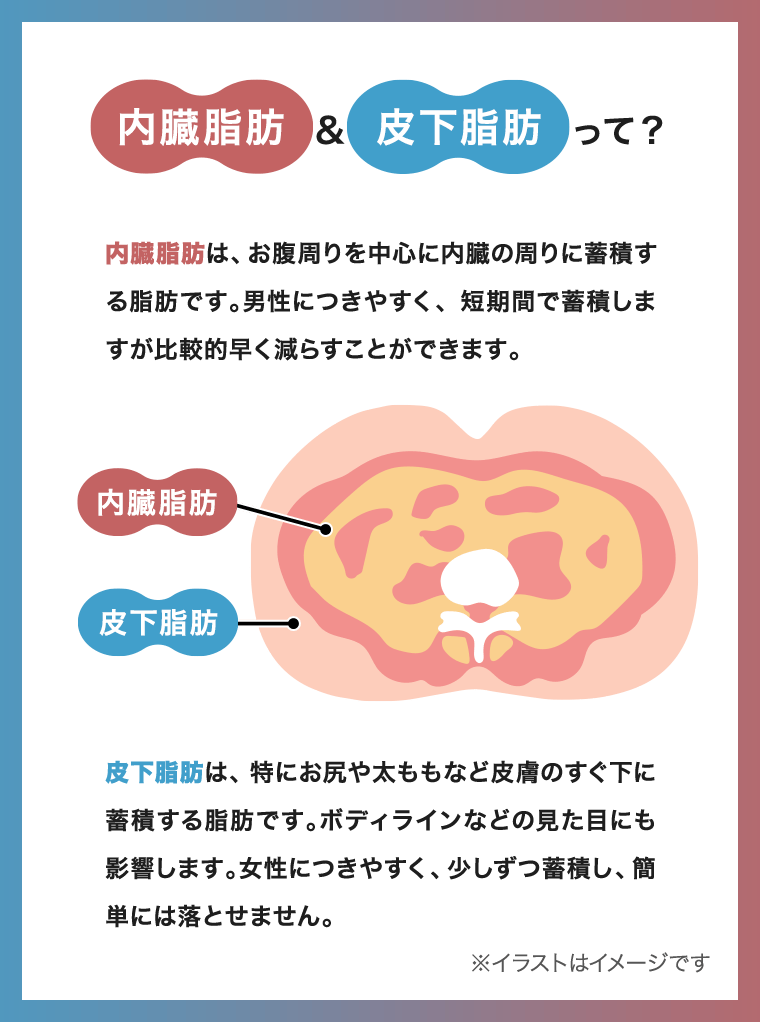 FBドリンクR_50mL×10本入(1箱): TBCサプリメント｜TBCオンラインショップ