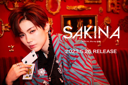Special Blu-ray BOX SAKINA AYAKAZE: ブルーレイ・DVD・CD - 宝塚