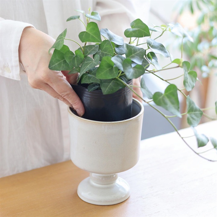 鉢・ポットの商品一覧｜てんとてん｜インテリア雑貨・食器