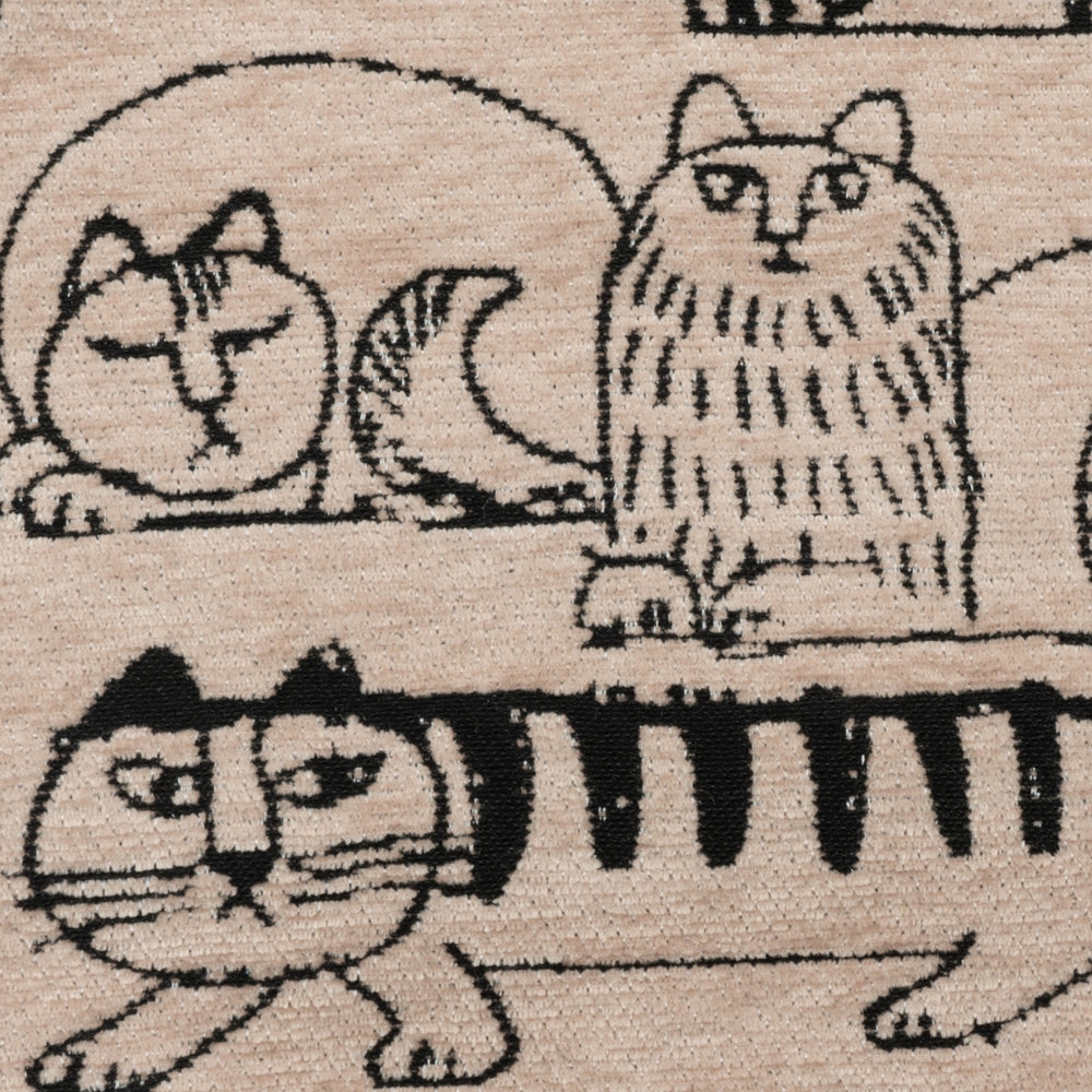 10_000000006427_1000x.jpg?v=