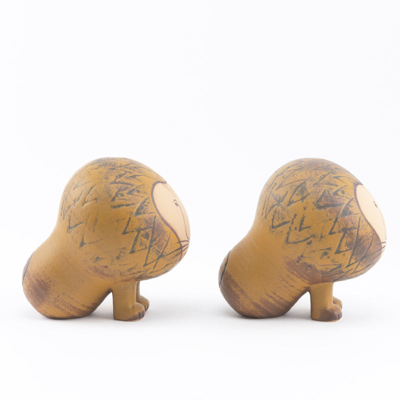 ライオン ミディアム