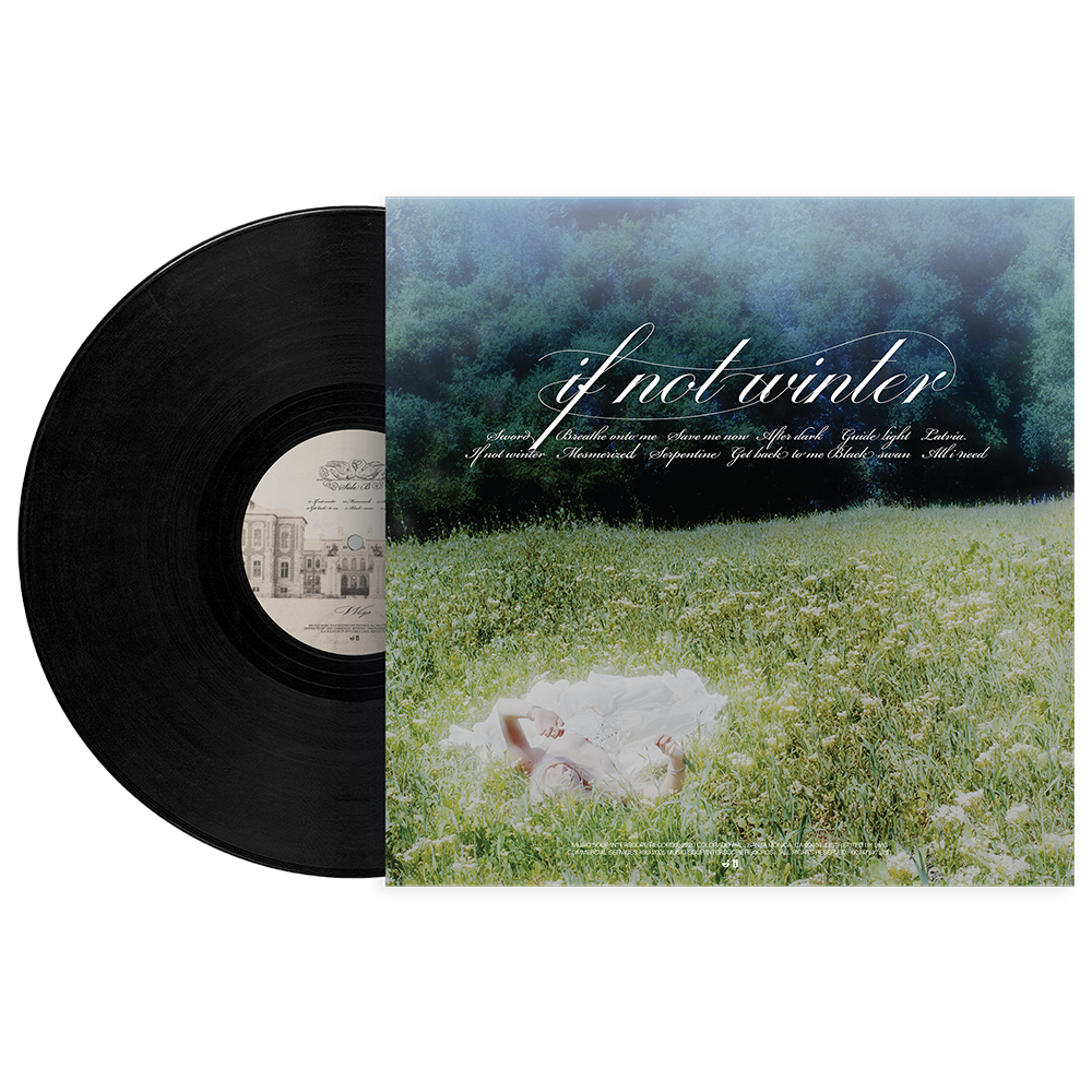 If Not Winter Vinyl - Wisp Official Store