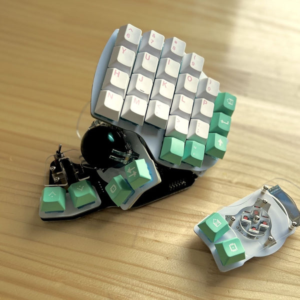 委託】Killer Whale