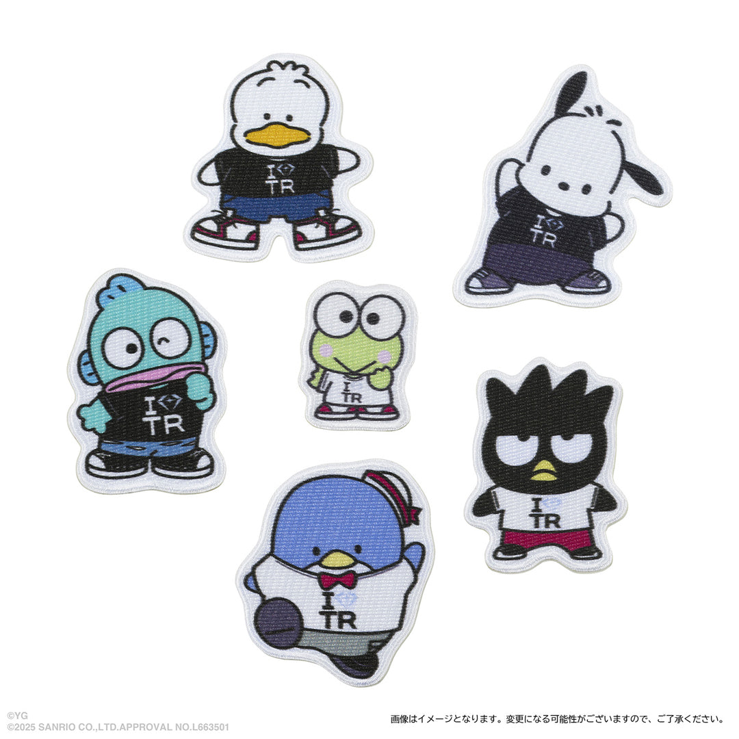 TREASURE×HAPIDANBUI】ワッペンステッカー（ポチャッコ） – YGEX