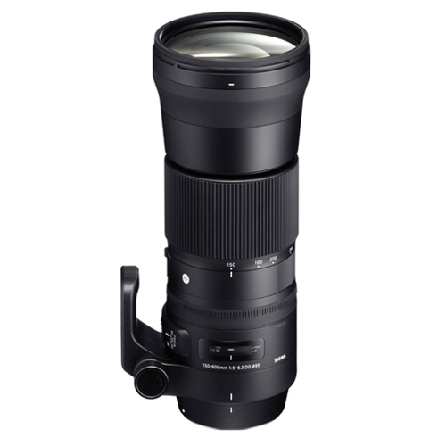 シグマ 150-600mm F5-6.3 DG OS HSM Contemporary ニコンF用 | 交換レンズ