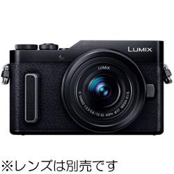 DC-GF10 商品一覧｜カメラのキタムラ