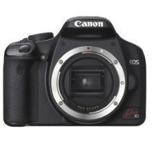 ネイチャースナップのすすめ｜格安中古で学ぶ一眼レフの基礎【ピント編