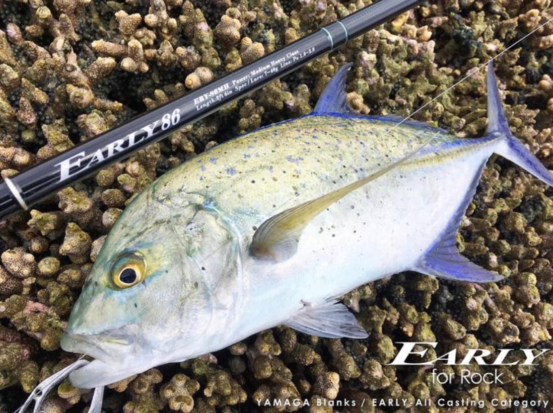 YAMAGA BLANKS Early 86MH For Rock Shore Casting Rod