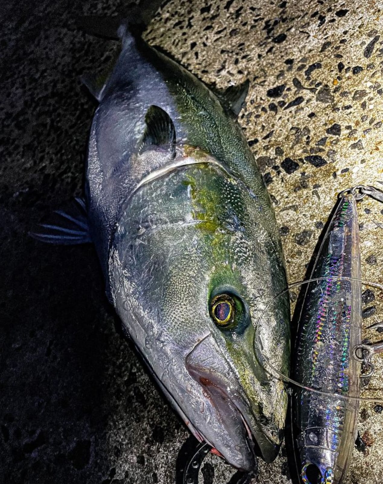 MC WORKS' Raging Bull RB100XS-Trident Shore Casting Rod