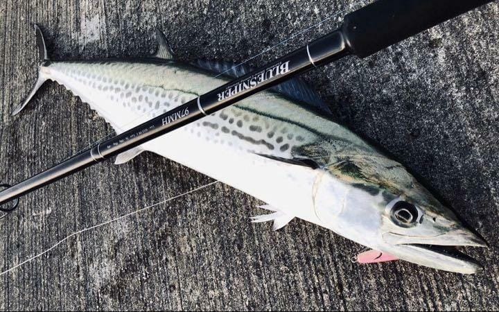 YAMAGA BLANKS EARLY FOR SEABASS 97MMH SHORE CASTING ROD