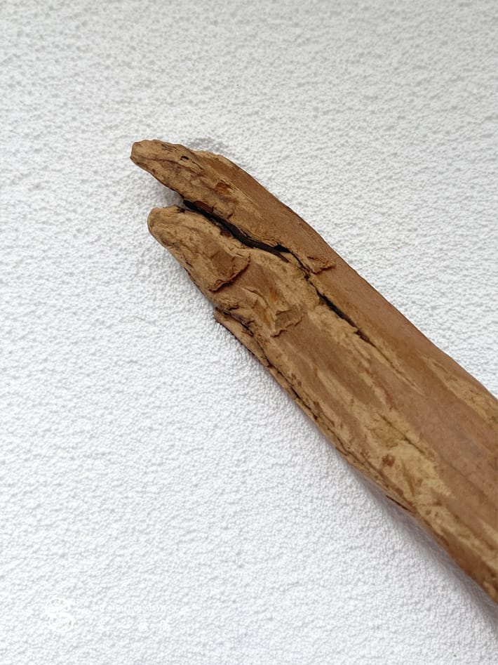 50年珍藏頂級檀香之王正印度老山檀香根部老料081-光之薩滿