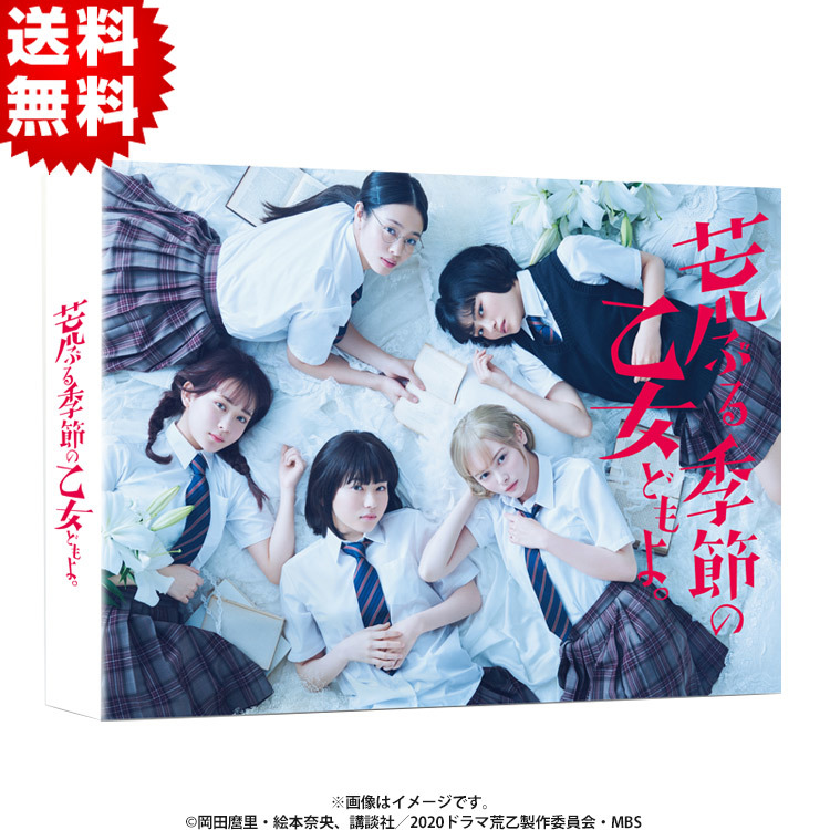 荒ぶる季節の乙女どもよ。／DVD-BOX（送料無料・4枚組） | TBS
